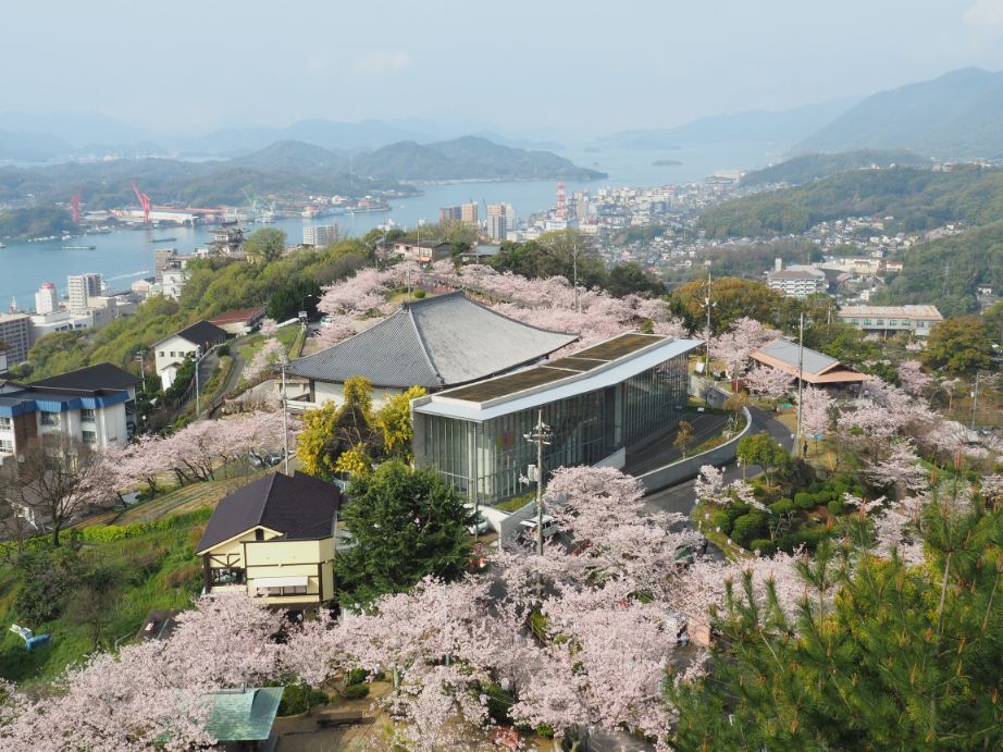 尾道　千光寺公園の桜