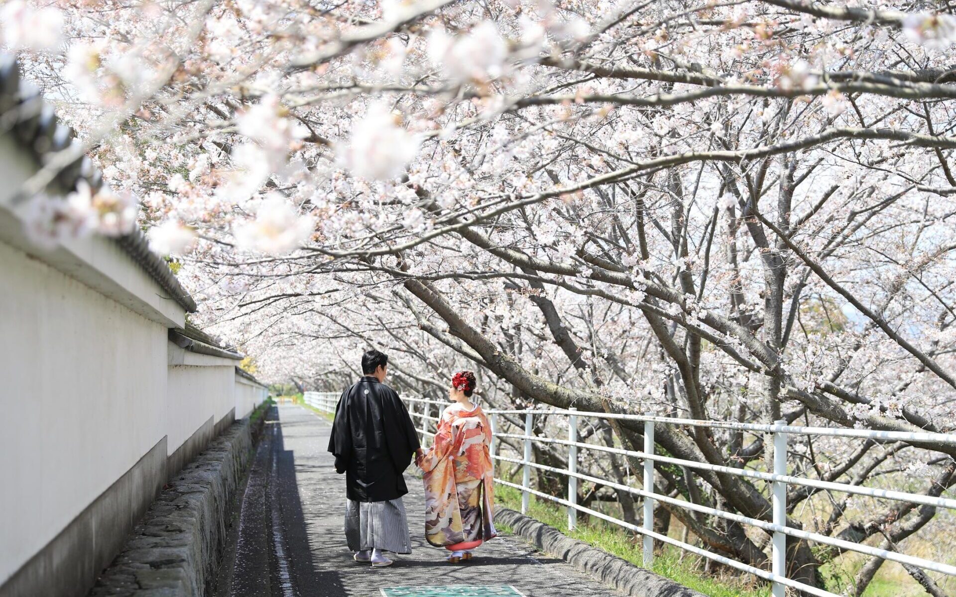 桜の季節に大山祇神社で結婚式